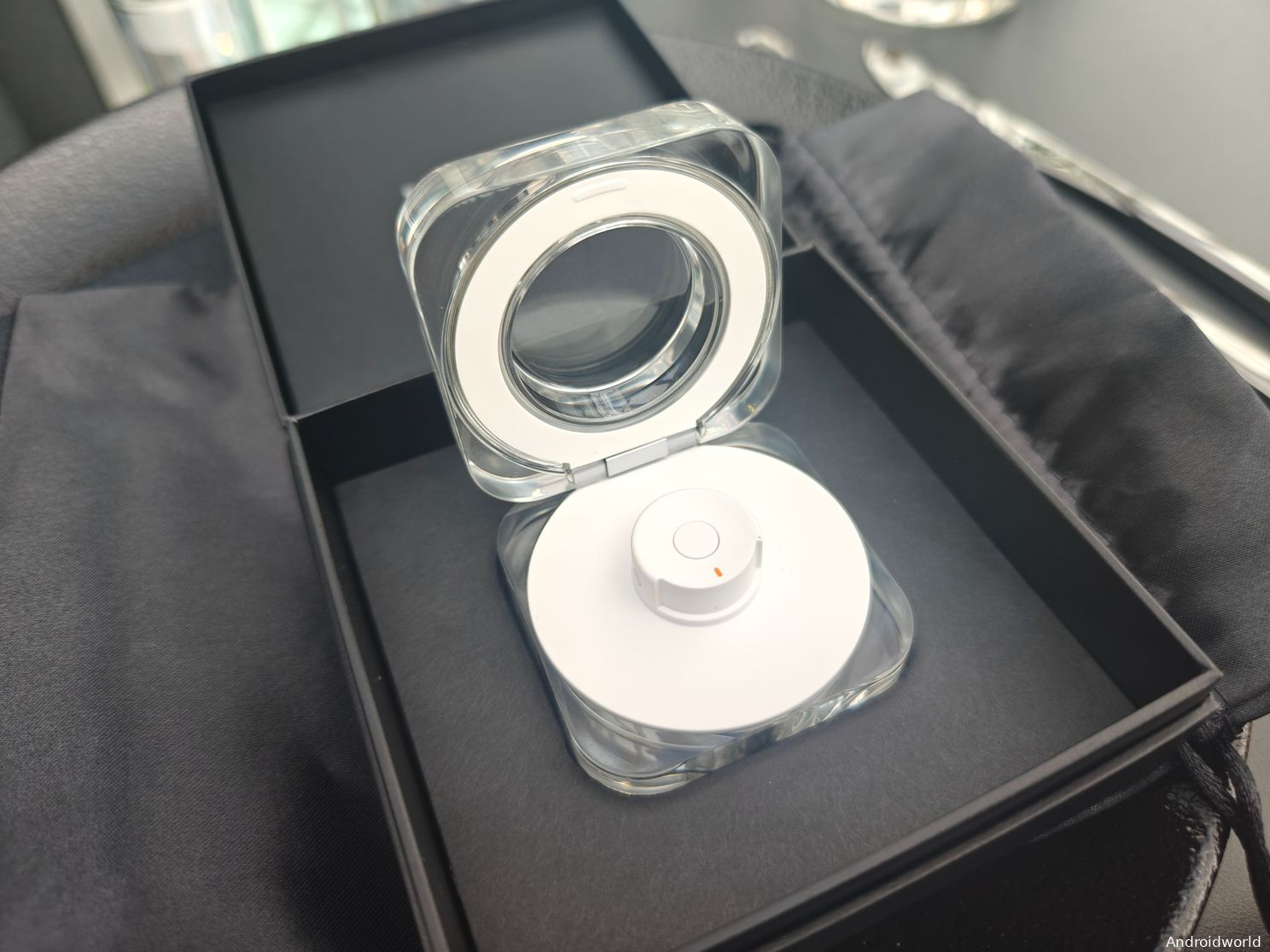 ring 8